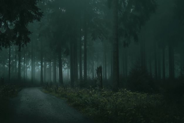 Read more about the article Misteri Di Pasar Modal: Kenapa Setelah Dijual Harganya Naik?